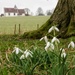 St Hubert's in the Distance by 30pics4jackiesdiamond