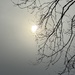 A glimpse of the sun by sjgiesman