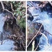Dingle diptych~~~~~