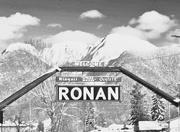 19th Feb 2025 - Welcome To Ronan - FOR2025