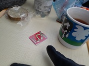 19th Feb 2025 - tea out snake