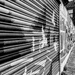 Shutter  by boxplayer