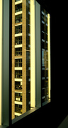10th Feb 2025 - Golden Hour
