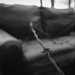The Cheap Seats