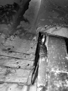 19th Feb 2025 - FOR19 - Cold Lines