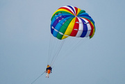 20th Feb 2025 - Paragliders
