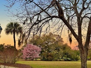 19th Feb 2025 - Hampton Park at sunset 