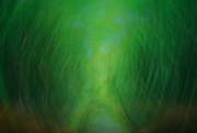 20th Feb 2025 - The Green Mile