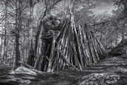 19th Feb 2025 - Pole Structure