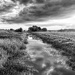FOR 20 Composition  by carole_sandford
