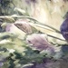 Flowers in the stream~~~~~ by ziggy77