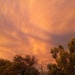 Burning Sky 