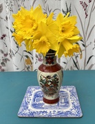 20th Feb 2025 - Daffodils