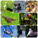 A Few Favourites Put Together ~ by happysnaps
