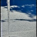 Icicle with morning Sunshine on Sparkly Snow