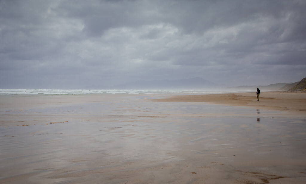 Solitude by purdeygrey