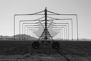 21st Feb 2025 - Mythical irrigation creature