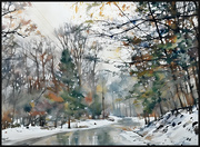 20th Feb 2025 - Snowfall on Clubhouse Drive