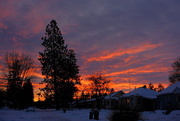 19th Feb 2025 - In the morning and amazing 