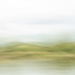 Along the Riverbank
