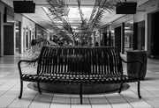19th Feb 2025 - Waiting