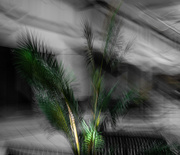 20th Feb 2025 - Signs of life