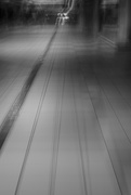 20th Feb 2025 - Into the Forgotten