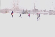 21st Feb 2025 - Rink at the Flats