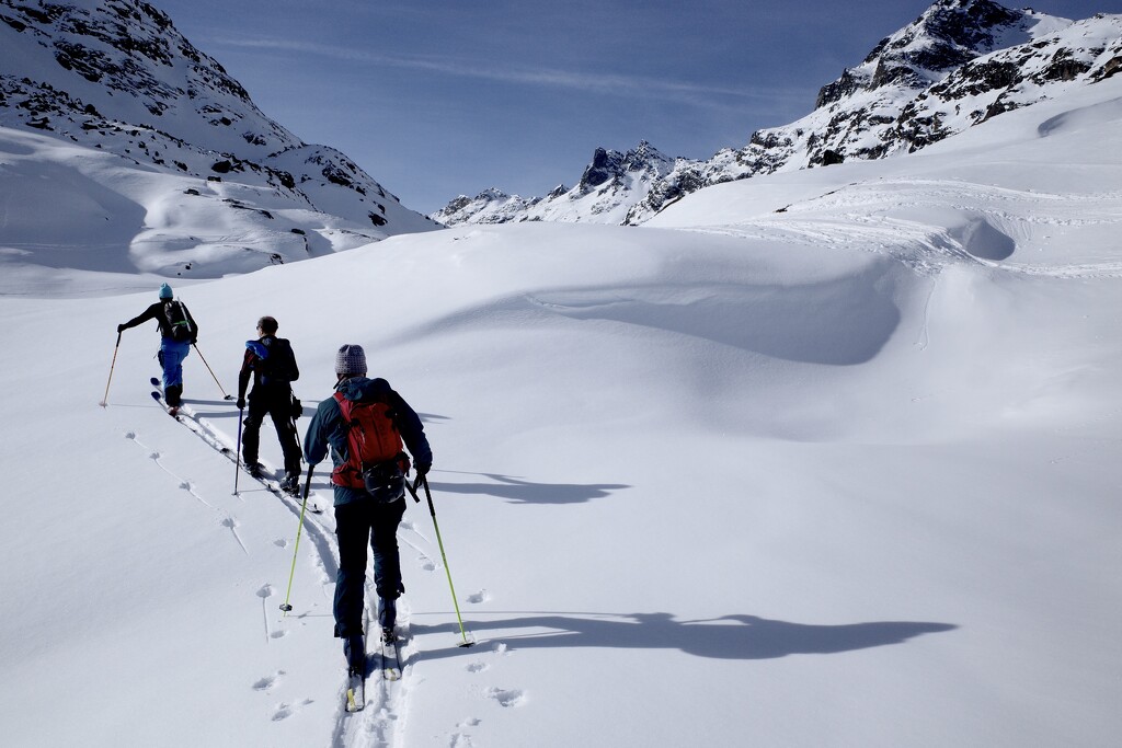 Ski Shadow  by vincent24