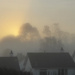 Foggy Sunrise