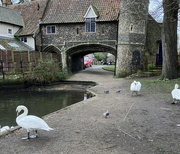 21st Feb 2025 - Pulls Ferry Norwich