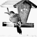 Flicker At Our Feeder - FOR2025 by bjywamer