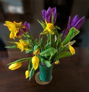 21st Feb 2025 - Flower Display
