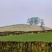 Garden Centre View  by countrylassie