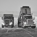 My Truck is Bigger than Your Truck  by gardencat