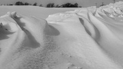21st Feb 2025 - Snow bank