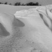 Snow bank by darchibald