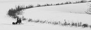 21st Feb 2025 - Ice fishing on Ring-neck Marsh