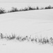 Ice fishing on Ring-neck Marsh by darchibald