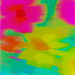 fleeting flowers