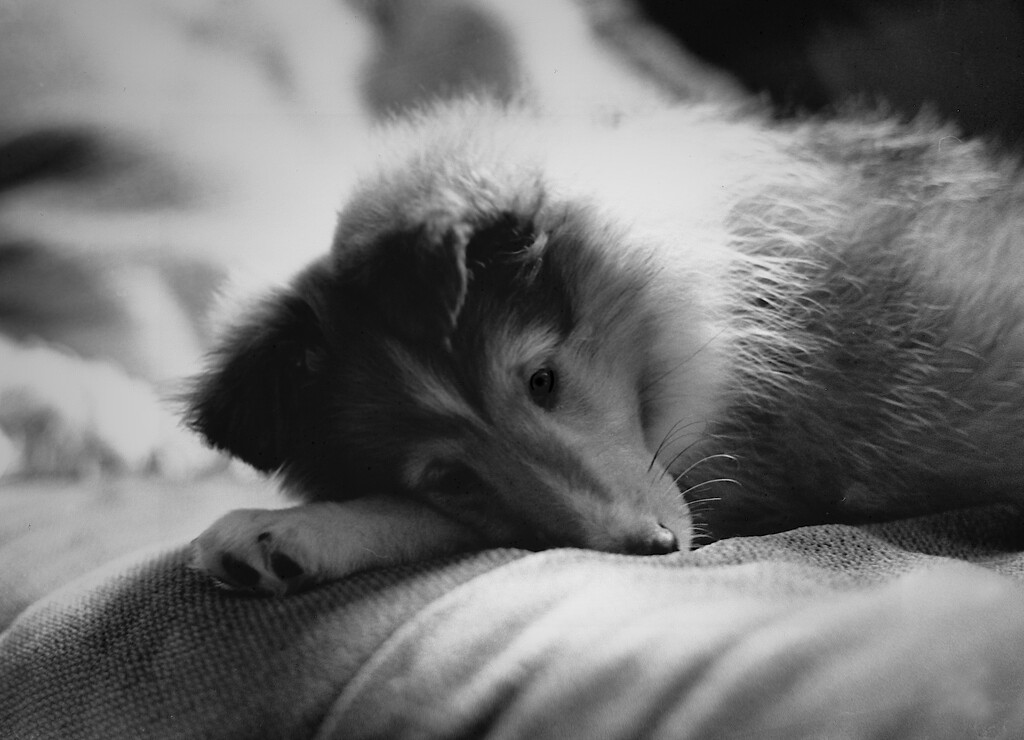 Bacia by imissgeorgeeastman