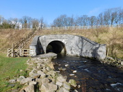 22nd Feb 2025 - trit trot