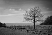 19th Feb 2025 - Youth