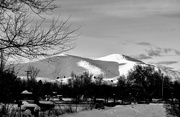 22nd Feb 2025 - Love Our View - FOR2025