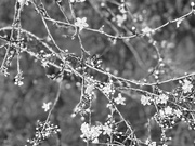 21st Feb 2025 - Form