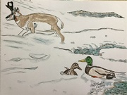 21st Feb 2025 - Wyoming Spring