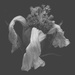 Cosmos Wilted