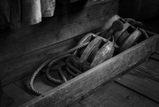 22nd Feb 2025 - Block & Tackle - FOR Day 22