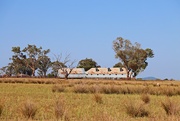 23rd Feb 2025 - The old shearing shed