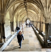 23rd Feb 2025 - Cloisters Norwich Cathedral